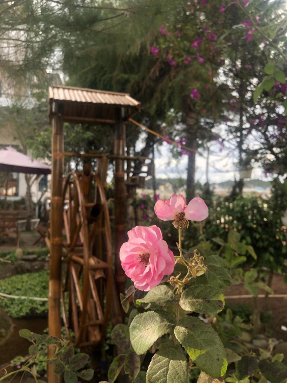Da Lat Lotus Villa Boutique Exterior photo